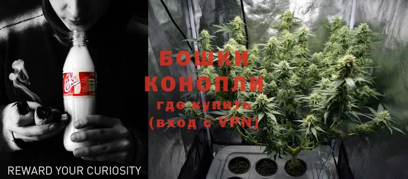 где продают   Заволжск  Каннабис индика 